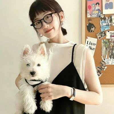 土豆的美国梦